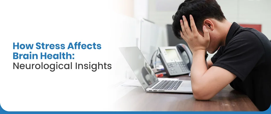 How Stress Affects Brain Health: Neurological Insights